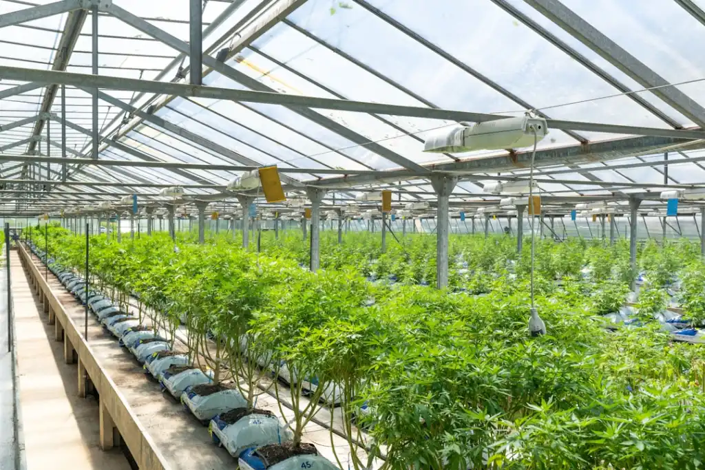 智慧建筑楼宇自控系统集成方案设计与技术要点解析