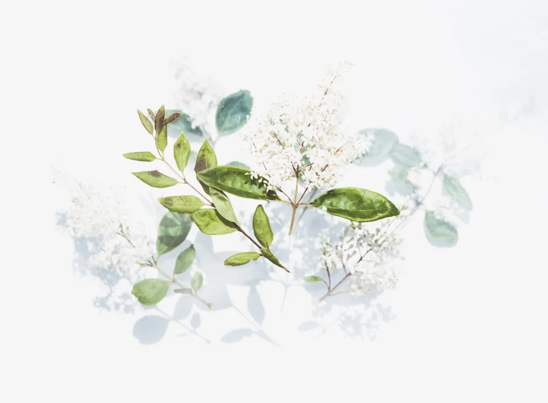 2025年智慧建筑行业楼宇自控与暖通智控技术发展趋势解读